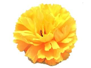 Γαρύφαλλα Hermes