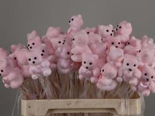 Αρκουδάκια