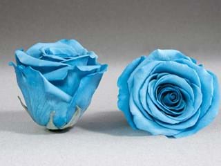 Forever Γαλάζιο