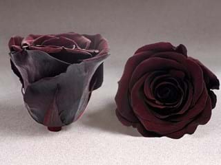 Forever Σοκολατί