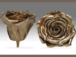 Forever Χρυσό Σ.