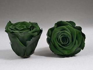 Forever Πράσινο Σ