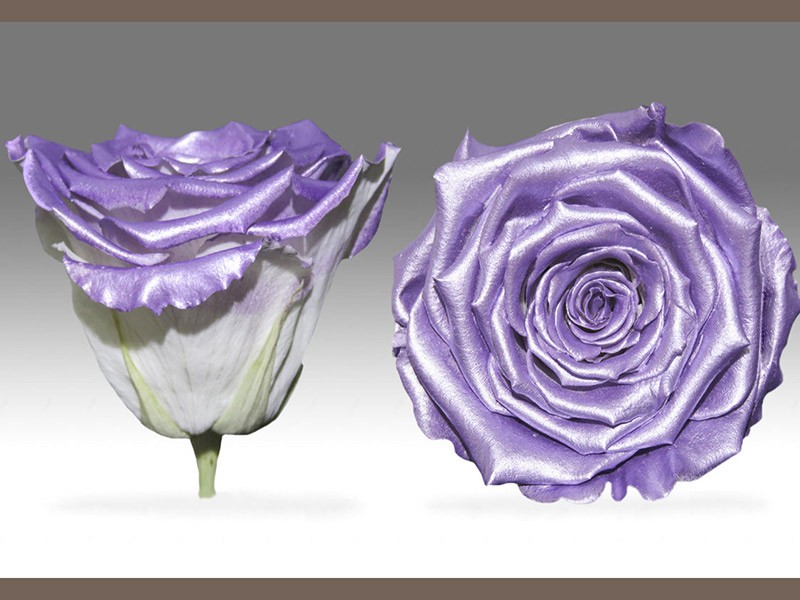 Forever Satin Lavender