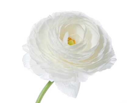 Νεραγκούλα Elegance White