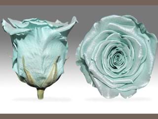 Forever Satin L Blue