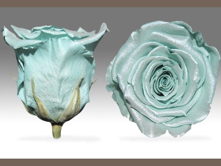 Forever Satin L Blue