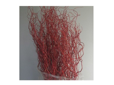 Salix Dyed